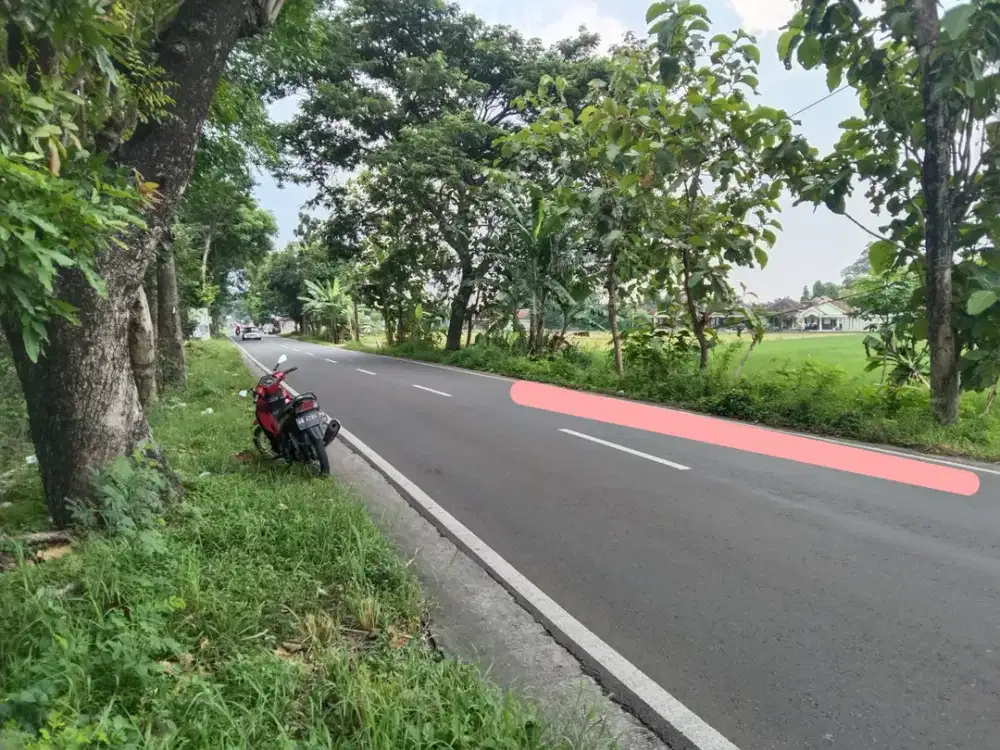 Tanah Pekarangan Cocok Untuk Gudang dan Industri Akses Jalan Raya