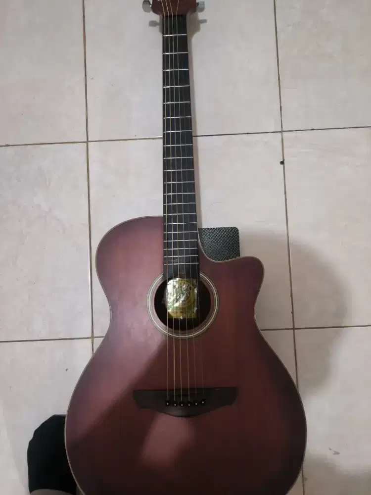 Gitar Wilson Model: WA 100 C SB,