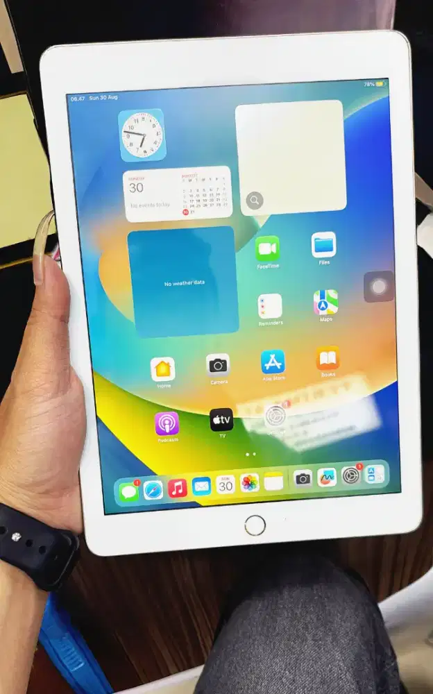 iPad Gen 5th Wi-Fi 32GB Eks iBox