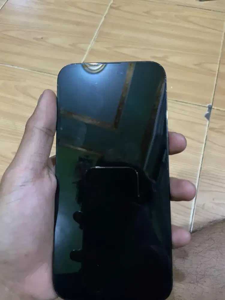 Iphone 14 promax