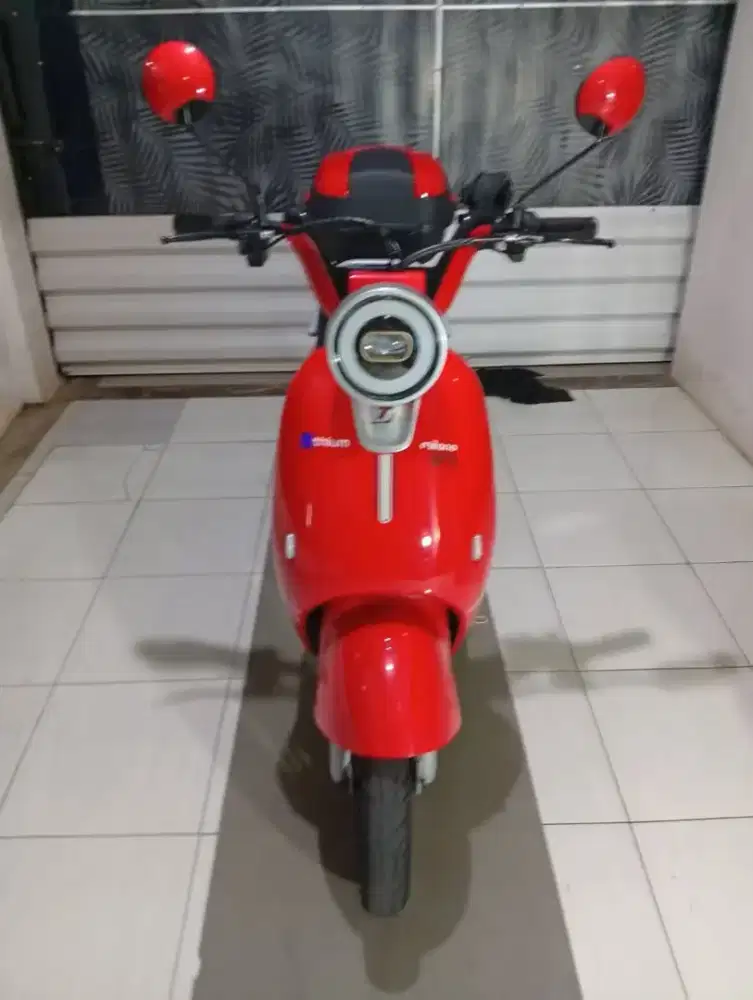 United Milano V1 Mulus