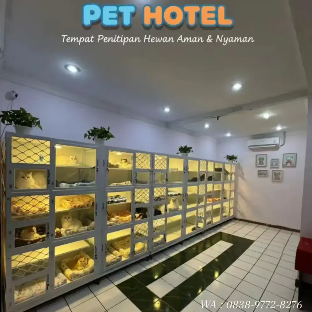 Pet Hotel Penitipan Hewan kucing, Kelinci, marmut dll