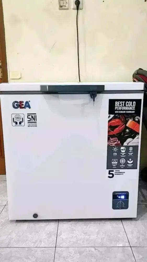 Freezer Box 210L