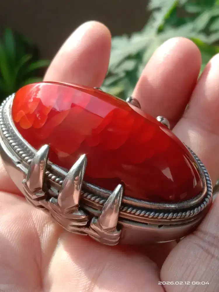 Batu Pandan Merah Jamblang Jumbo