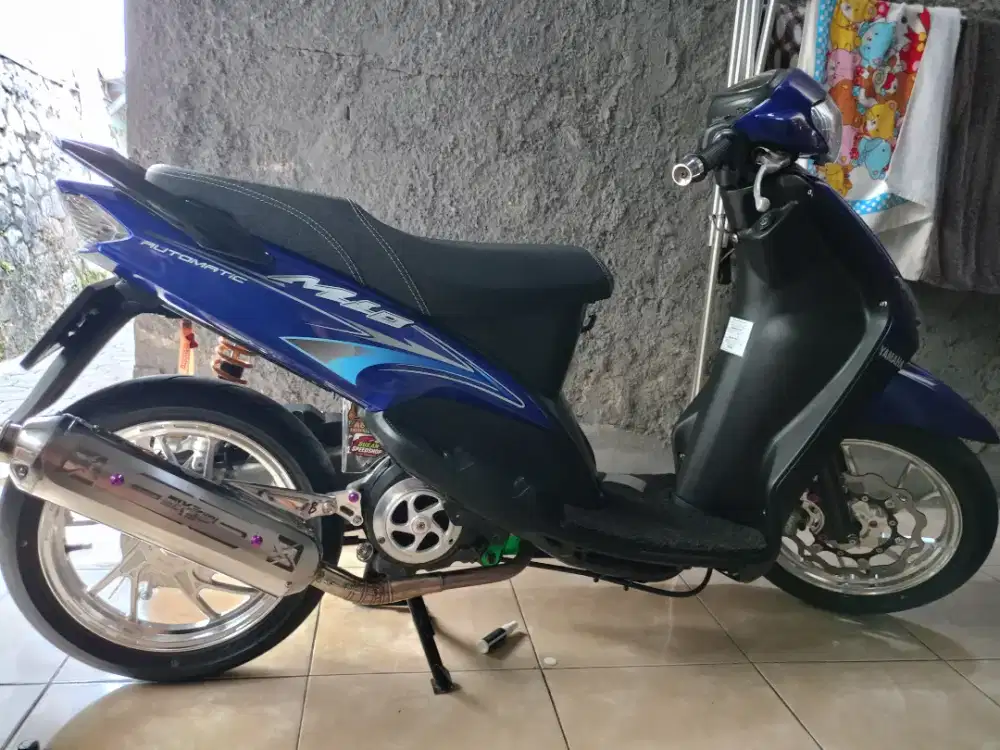 Mio pajek idup depok