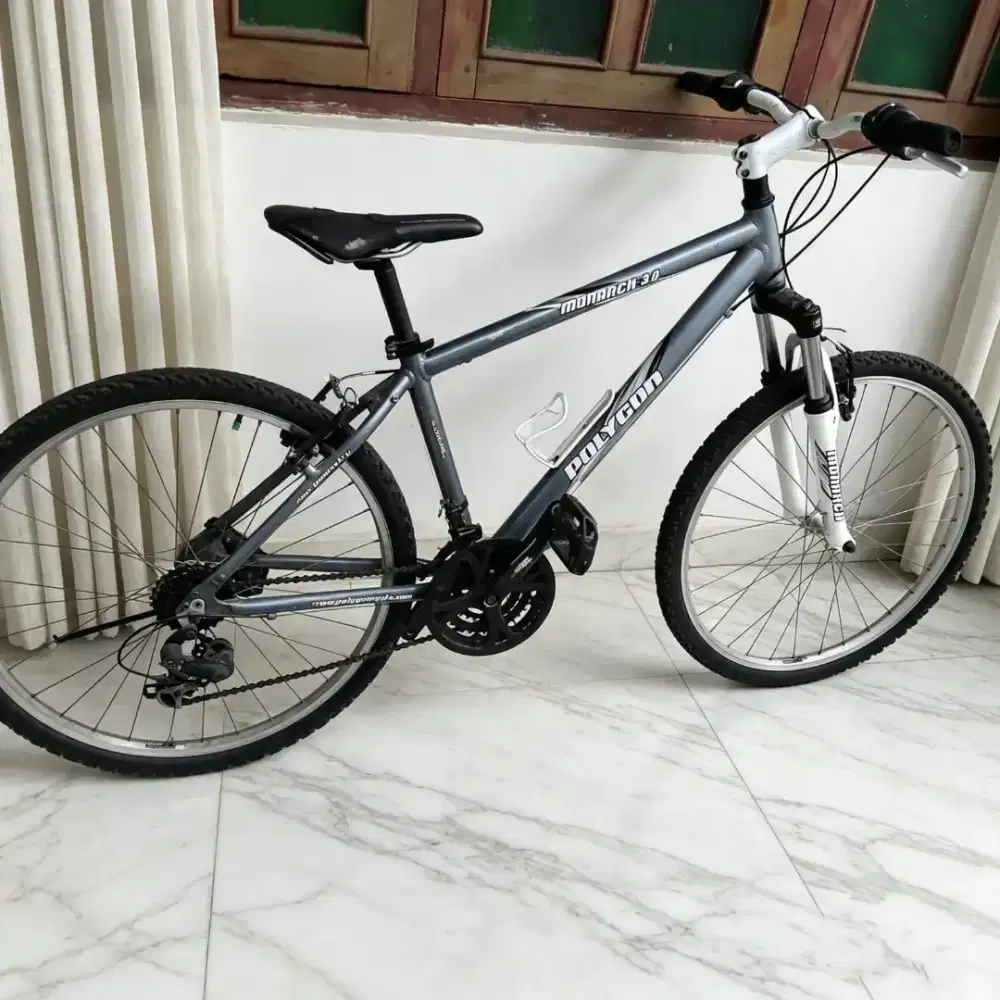 Sepeda gunung MTB Polygon monarch 3