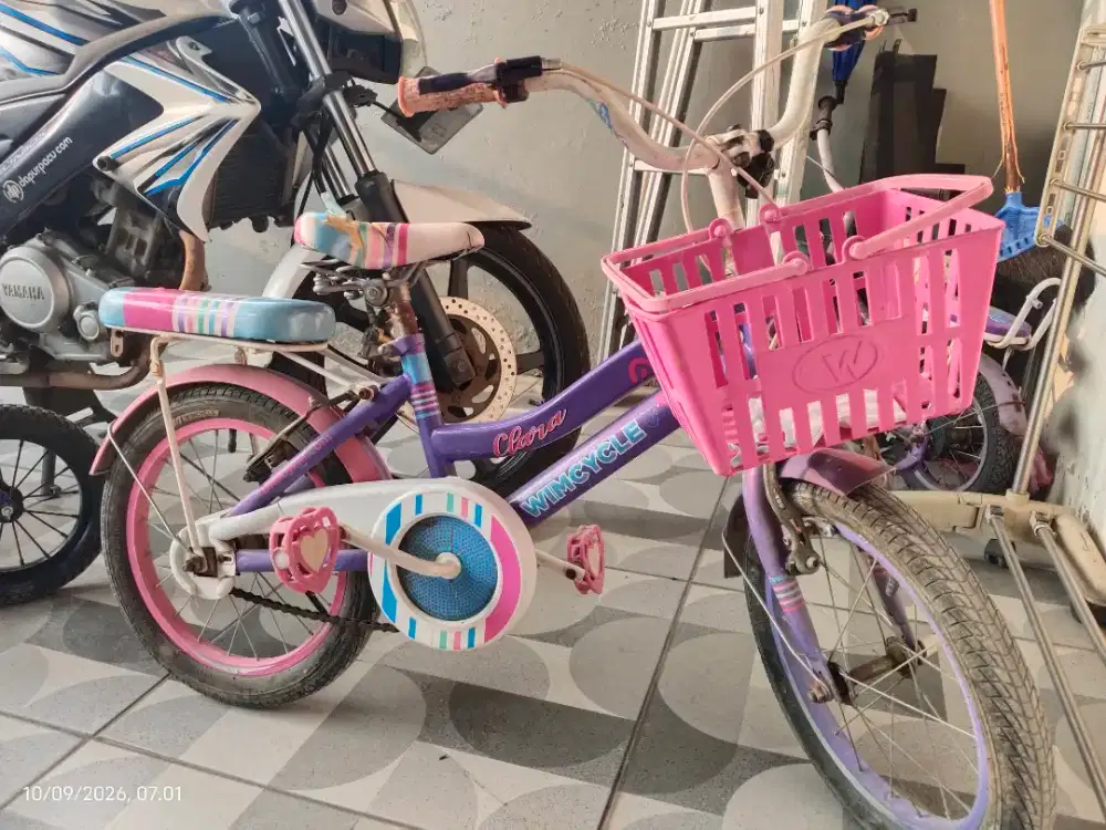 Sepeda anak perempuan bekas untuk usia 5-9 tahun