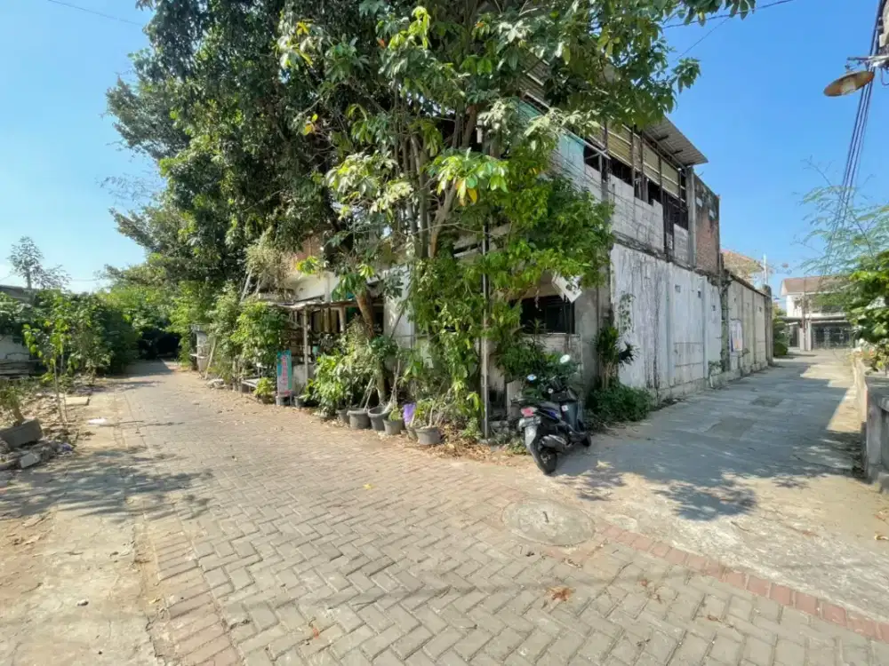 Tanah ring 1 UGM depan fakultas kehutanan Pogung Sleman