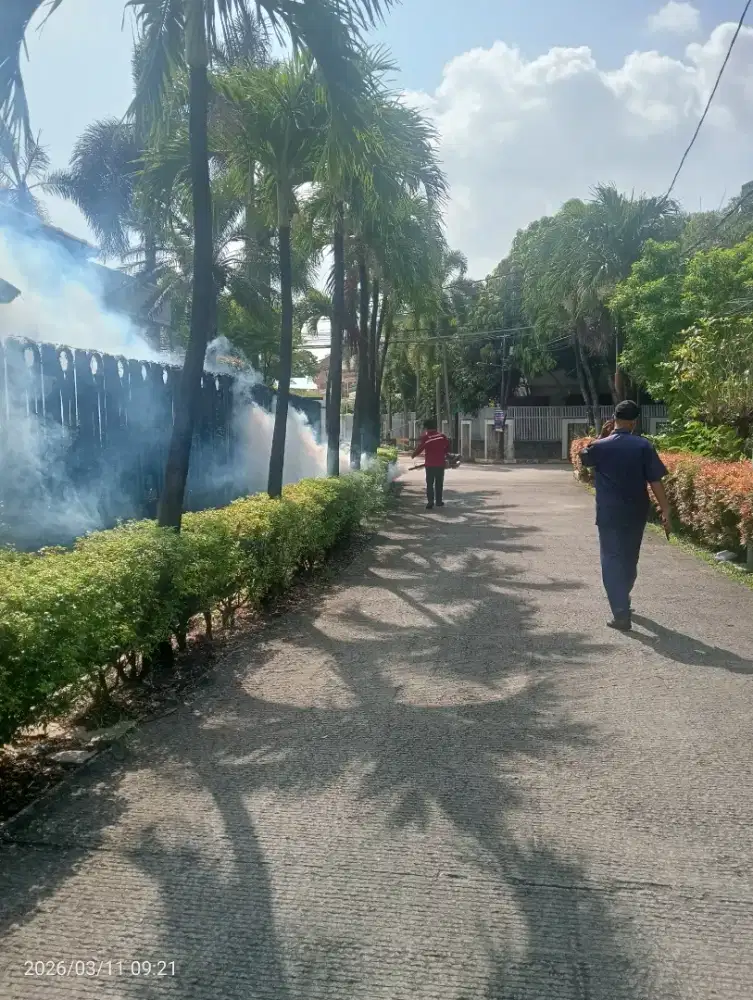 Jasa pembasmi tawon, fogging nyamuk DBD,kecoa,tikus,Anti rayap dll
