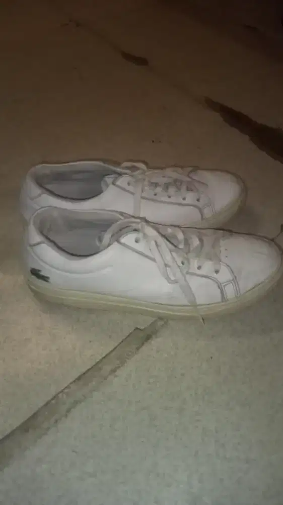 Sepatu Lacoste Carnaby Evo Leather White Sneakers cewe
