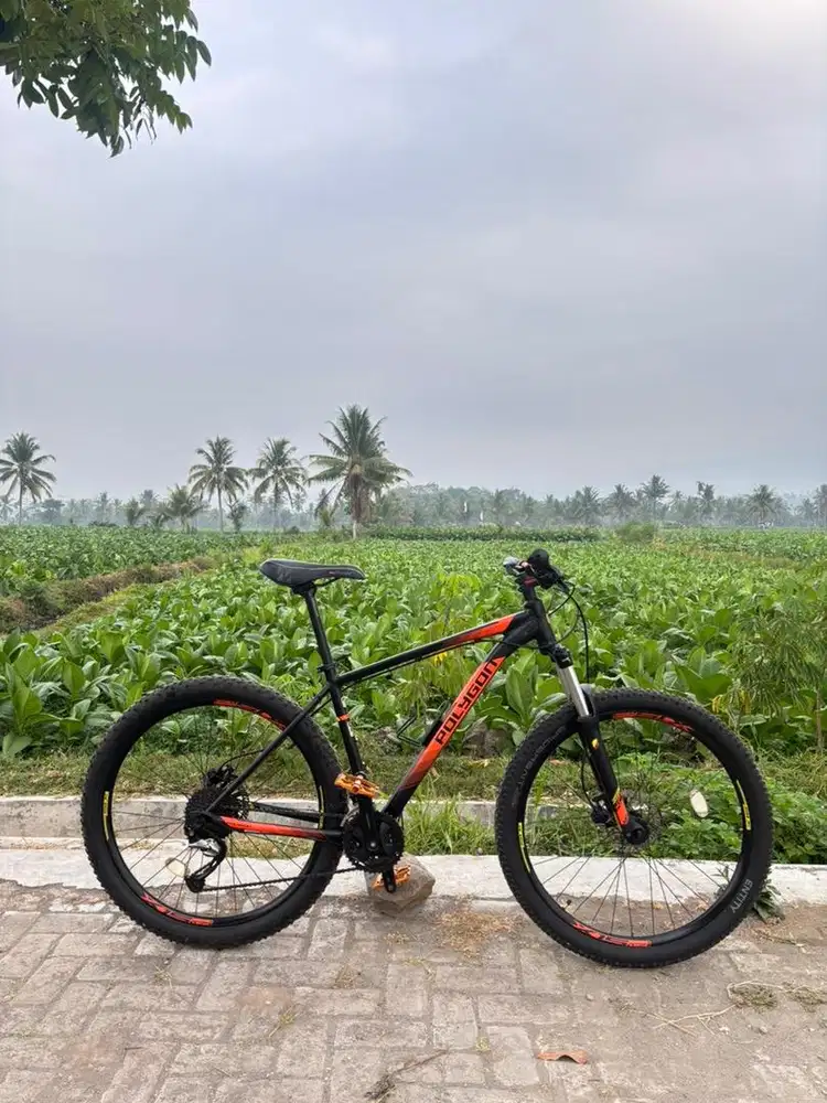 POLYGON PREMIER 5 TAHUN 2019
