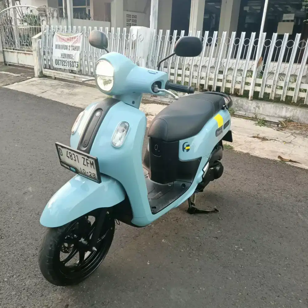 Fazio kayles ,tahun 2024 mulus