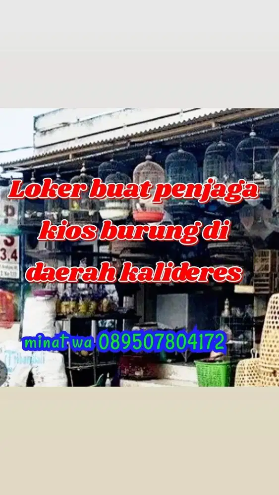 bantu jual an aksesoris kicau mania