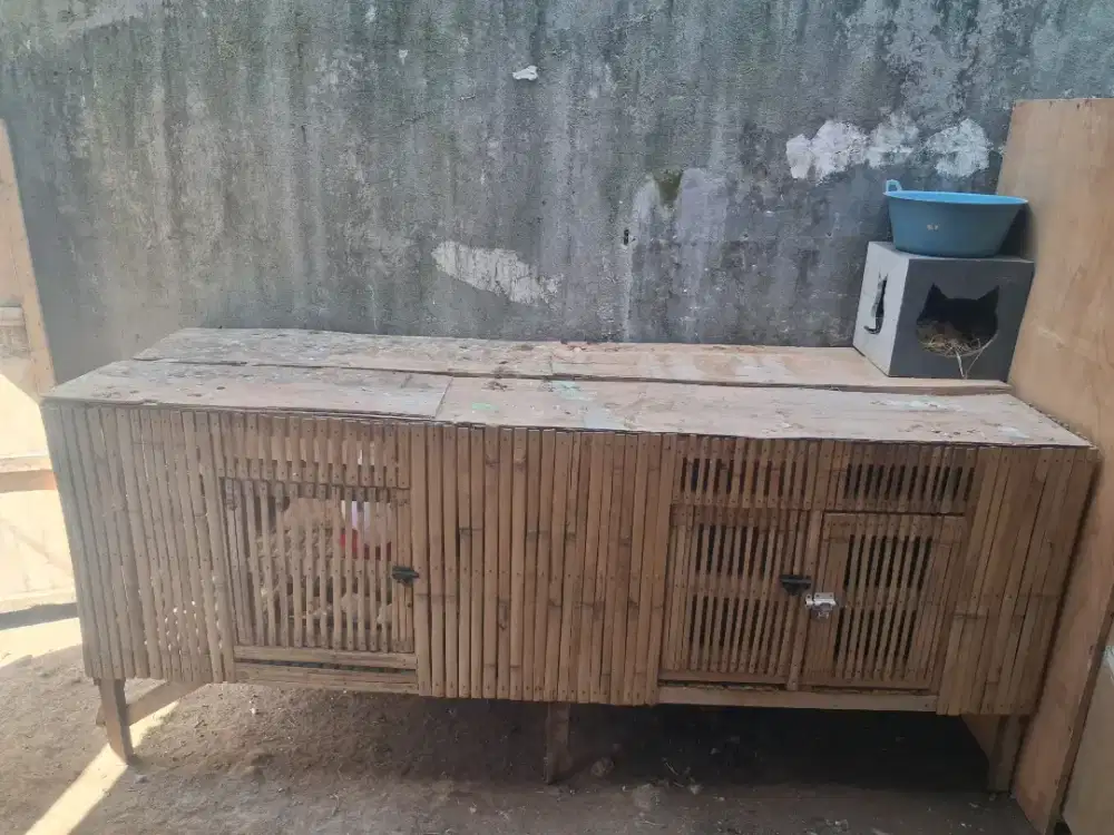 Kandang ayam bambu