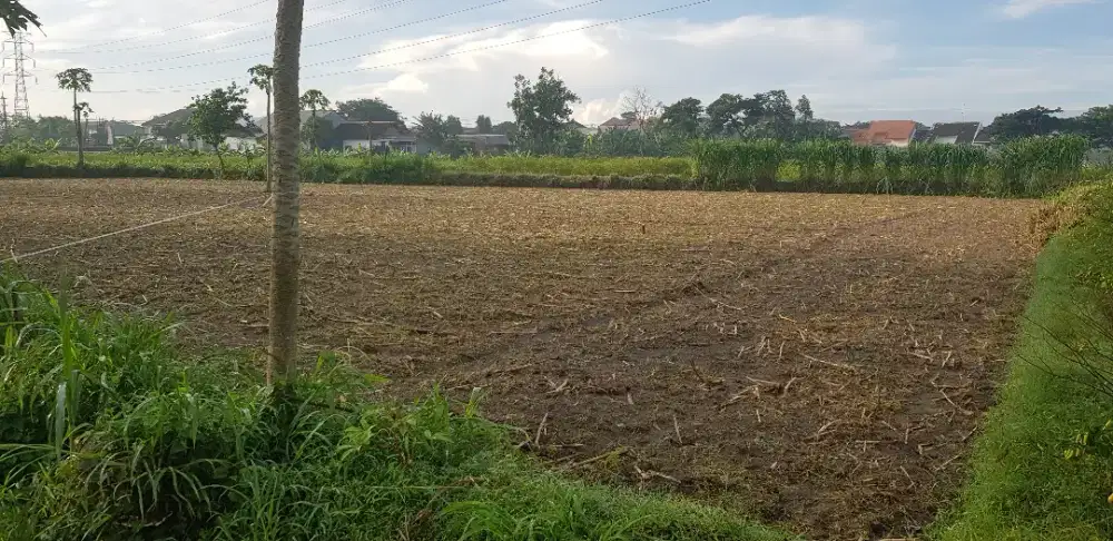 Dijual sawah di daerah strategis dekat perumahan elit,  & perkantoran
