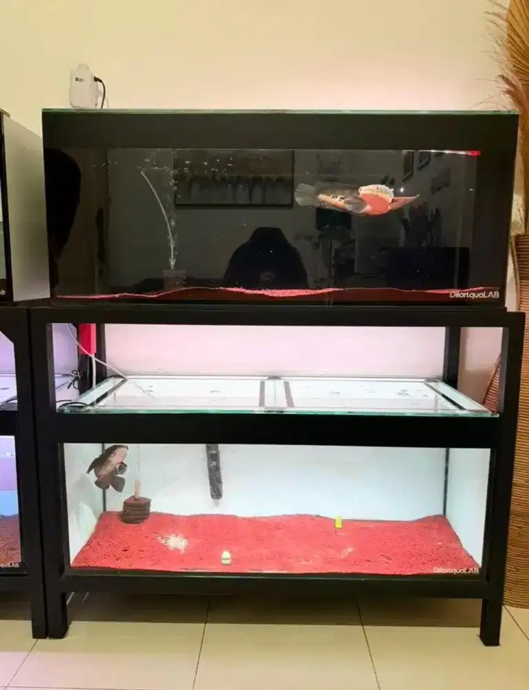 2 Aquarium + Rak