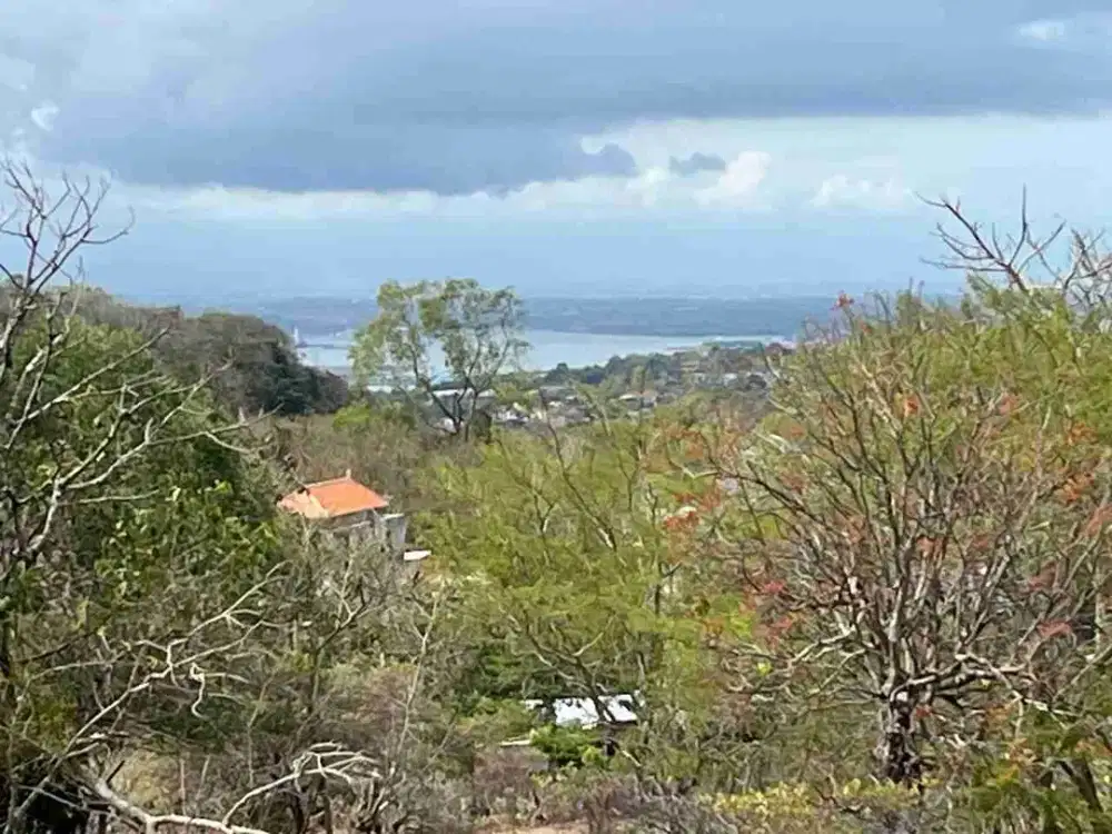 Tanah Ocean View Di Jalan Palapa Jimbaran Dkt STP Nusa Dua