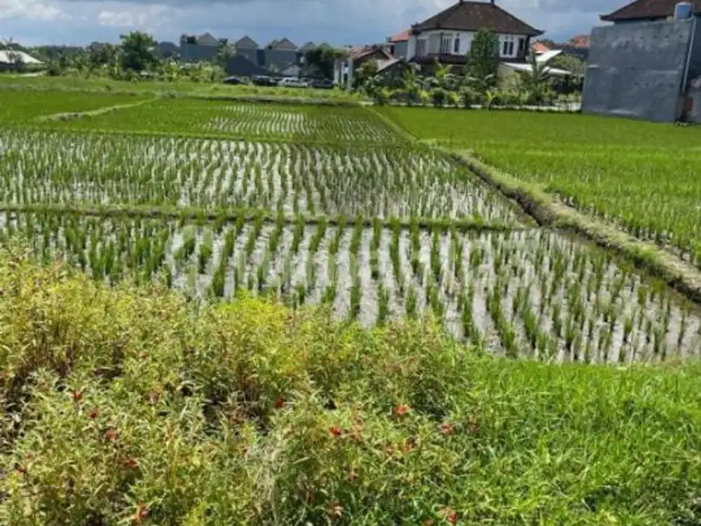 Dijual Tanah Dijalan Raya Soekarno Hatta, Tabanan Bali