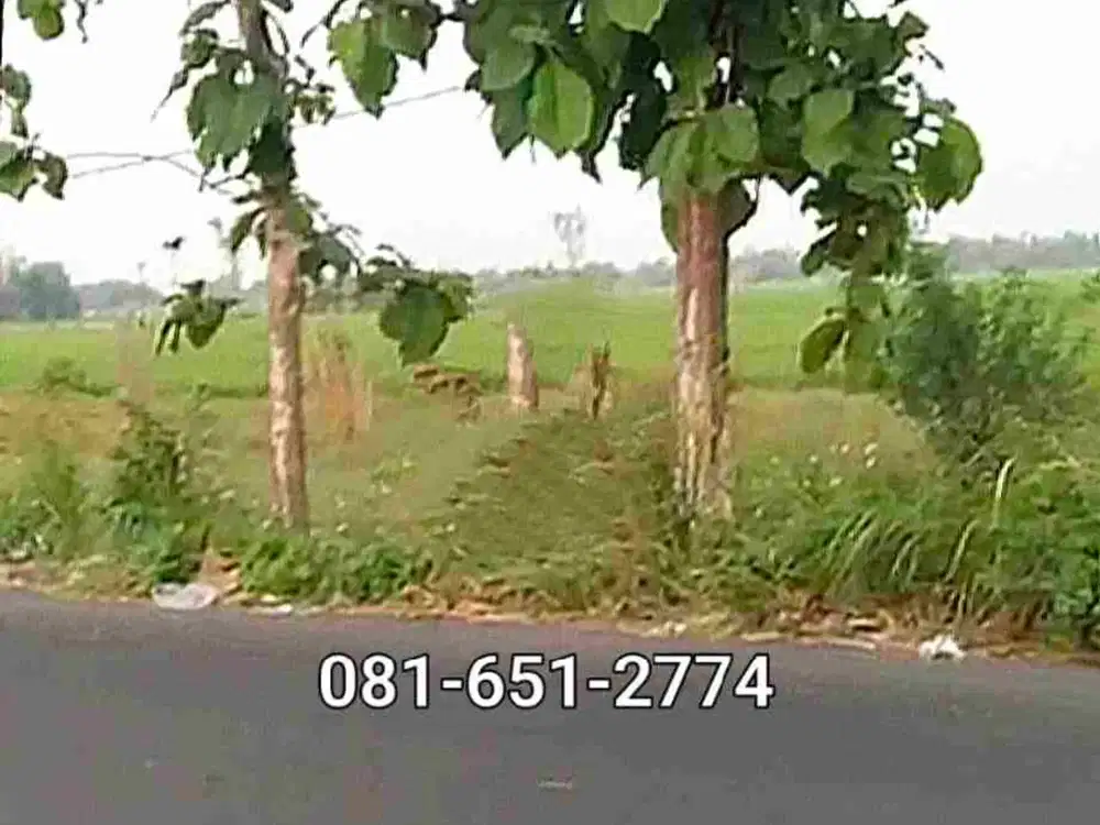 Tanah di Krian Sidoarjo