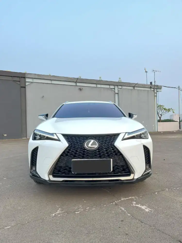 Lexus UX200 F Sport 2.0 Nik 2019