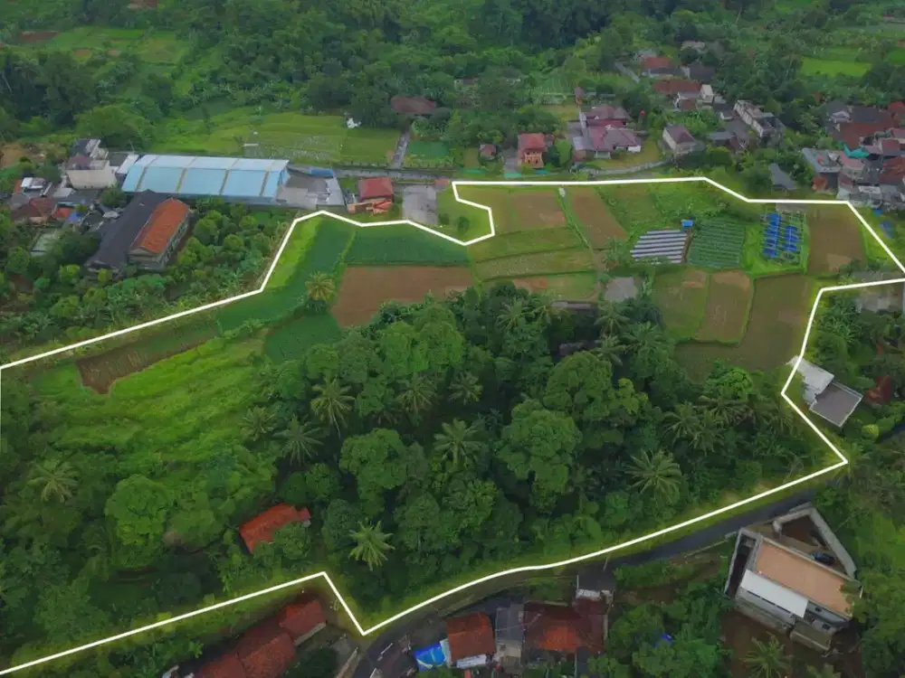 DIJUAL TANAH LUAS DI CIJERUK, BOGOR