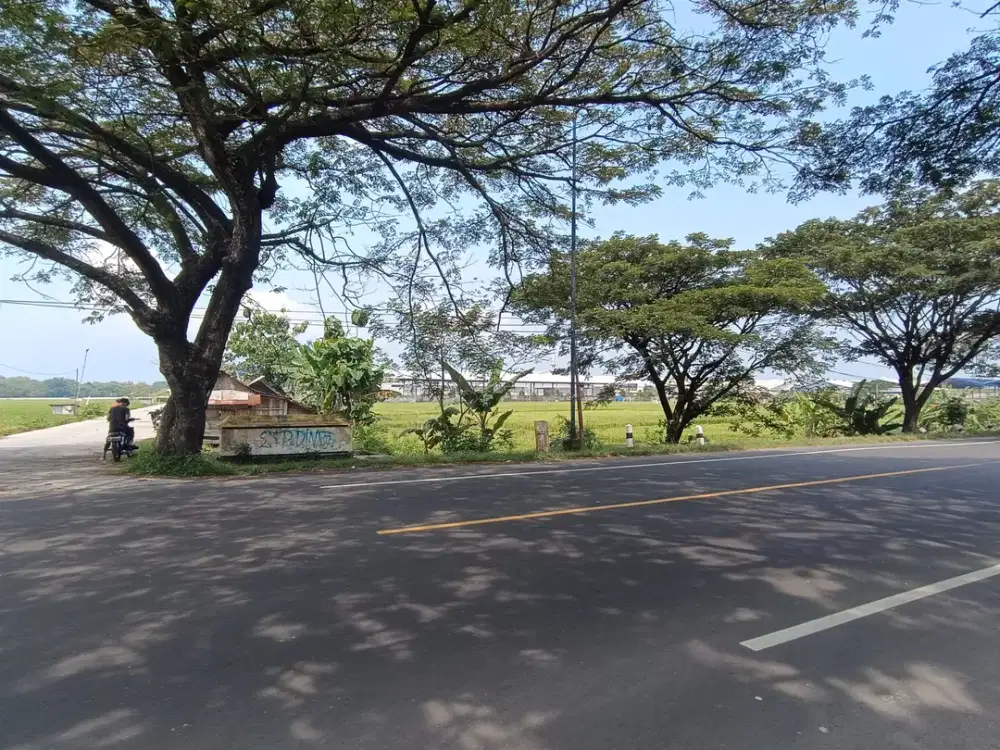 Tanah dijual di Toyogo Sambungmacan Sragen zona industri dekat exit tol