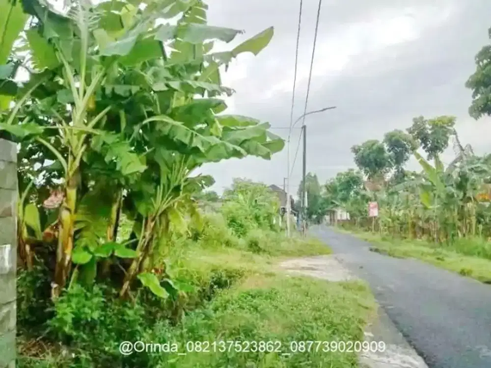 LT 568 LD12 TEPI JL PLERET BANTUL TANAH SHM DI POTORONO, BANGUNTAPAN, BANTUL, JOGJA, AKSES JALAN ASPAL LEBAR