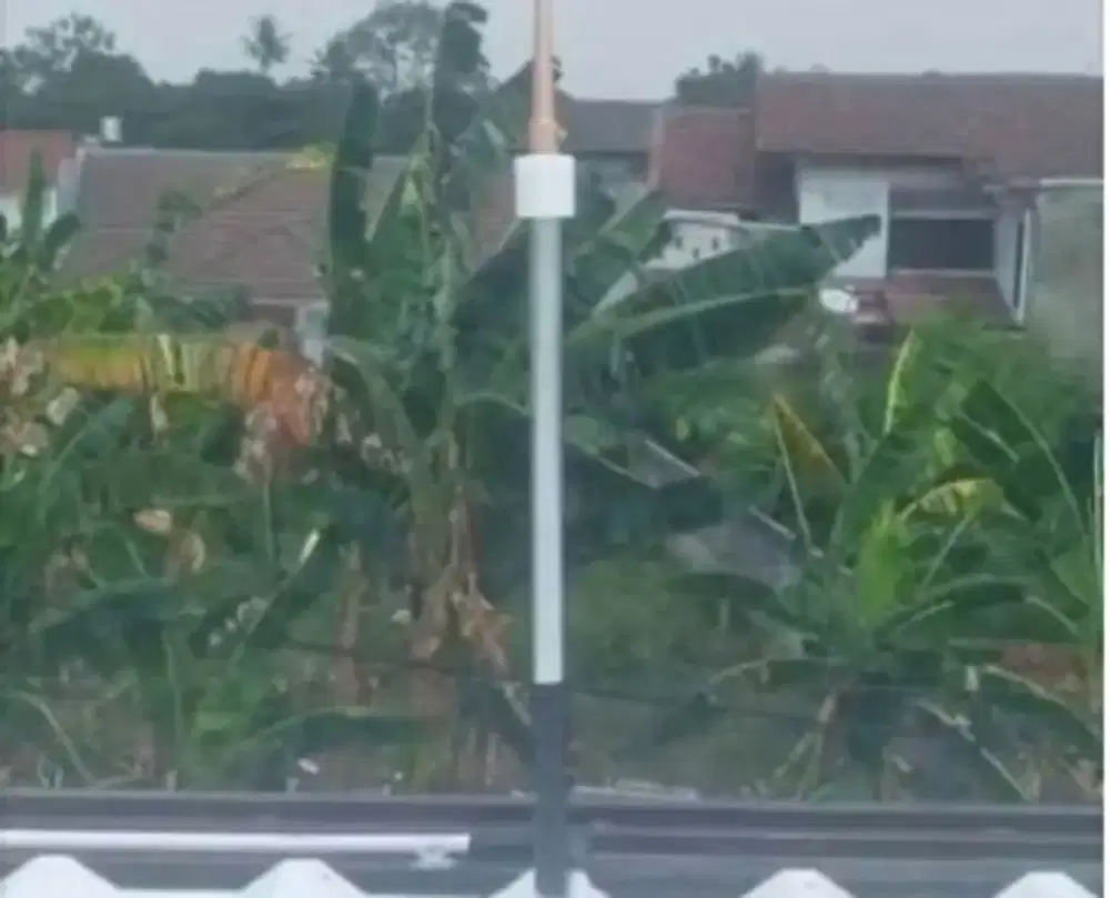 Pasang Penangkal Petir