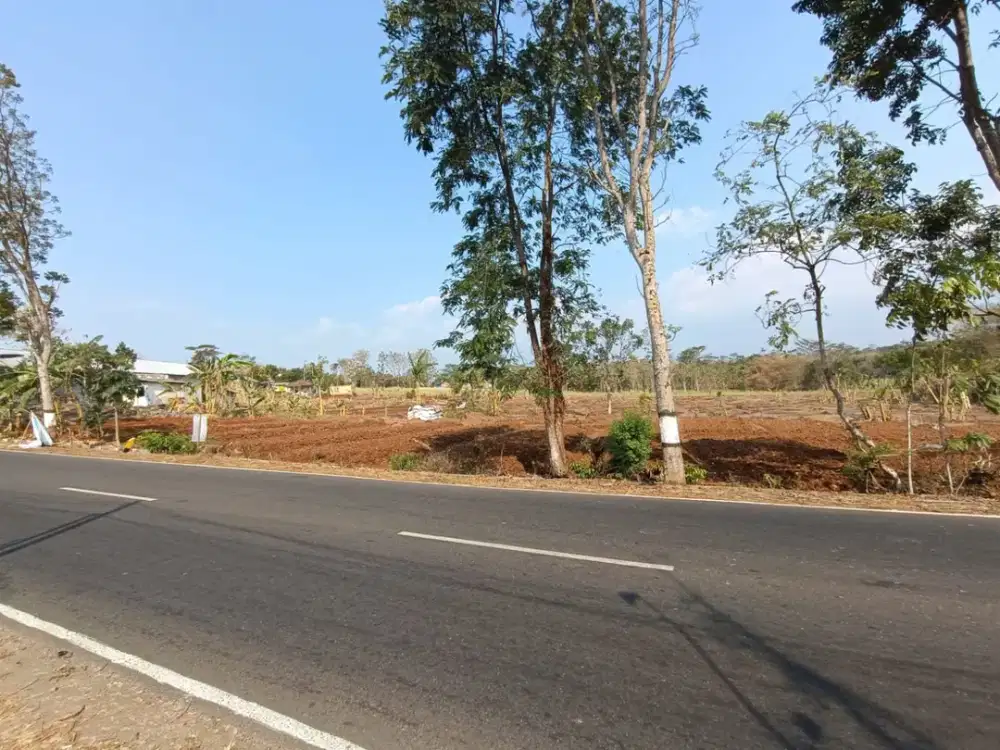 Tanah dijual di Mojogedang Karanganyar pinggir jalan raya lebar depan 110 meter