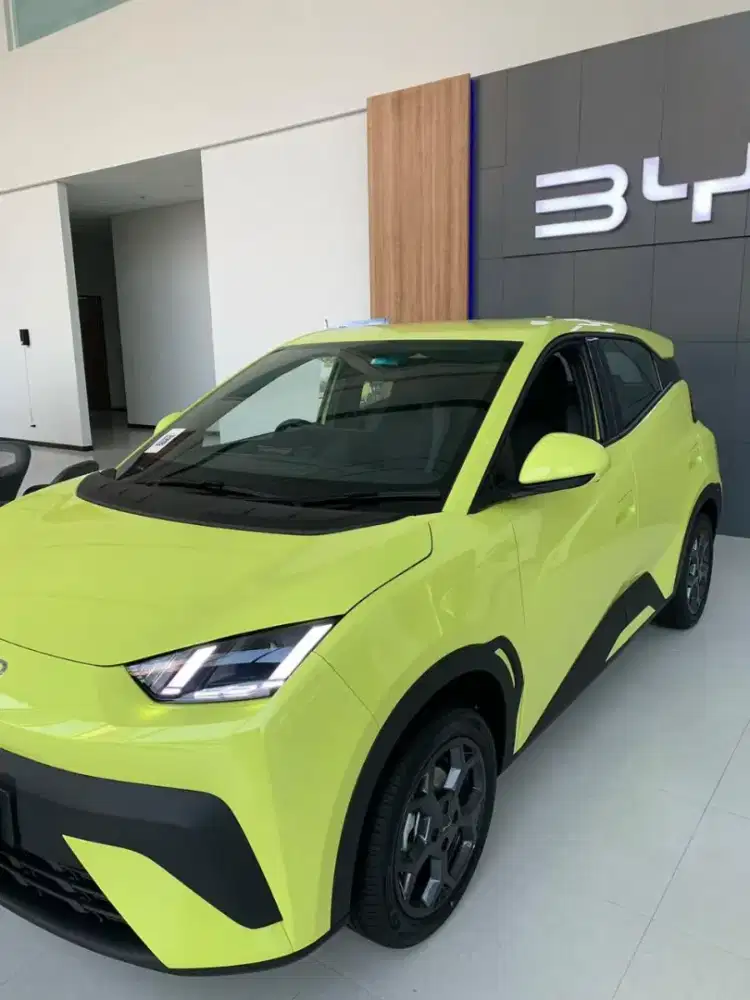 BYD Atto 1 Standard