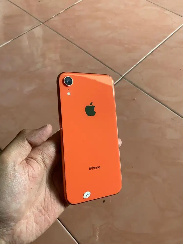 XR 256GB LENGKAP