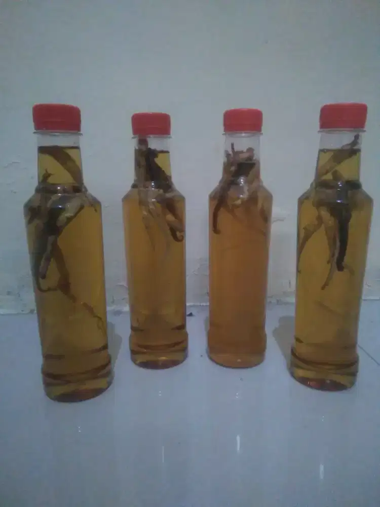 Madu ginseng+kuda laut