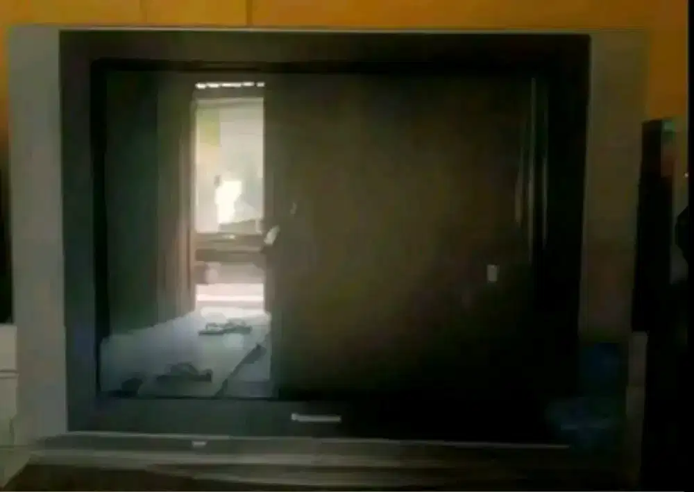 Panasonic 29 Inch Istimewa