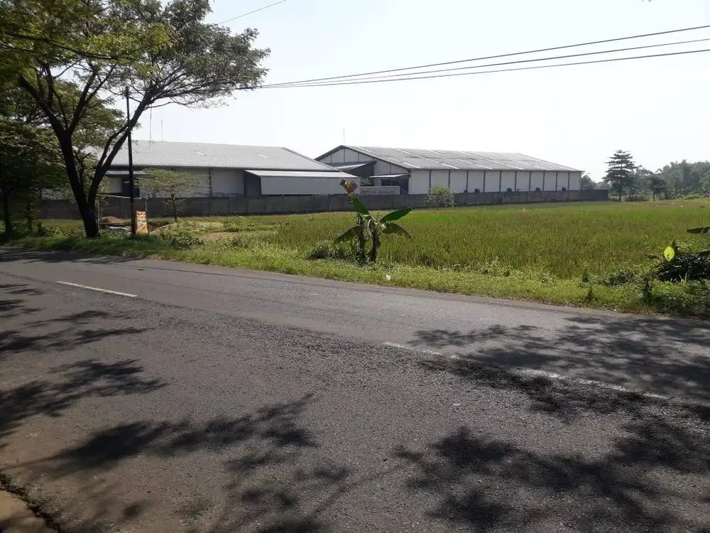 DIJUAL TANAH LUAS 3.465 M² SHM – MOJOKERTO | SIAP BANGUN