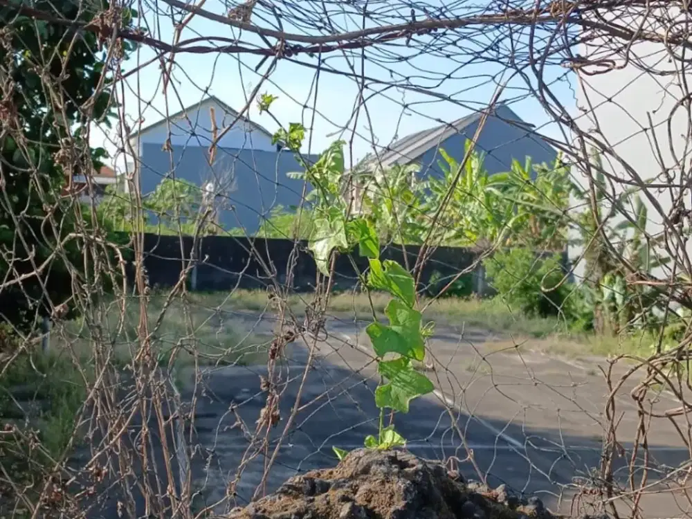 Disewakan Tanah ±900 M² – Zona Kuning