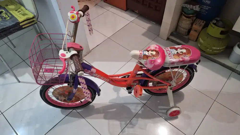 Sepeda bekas genio