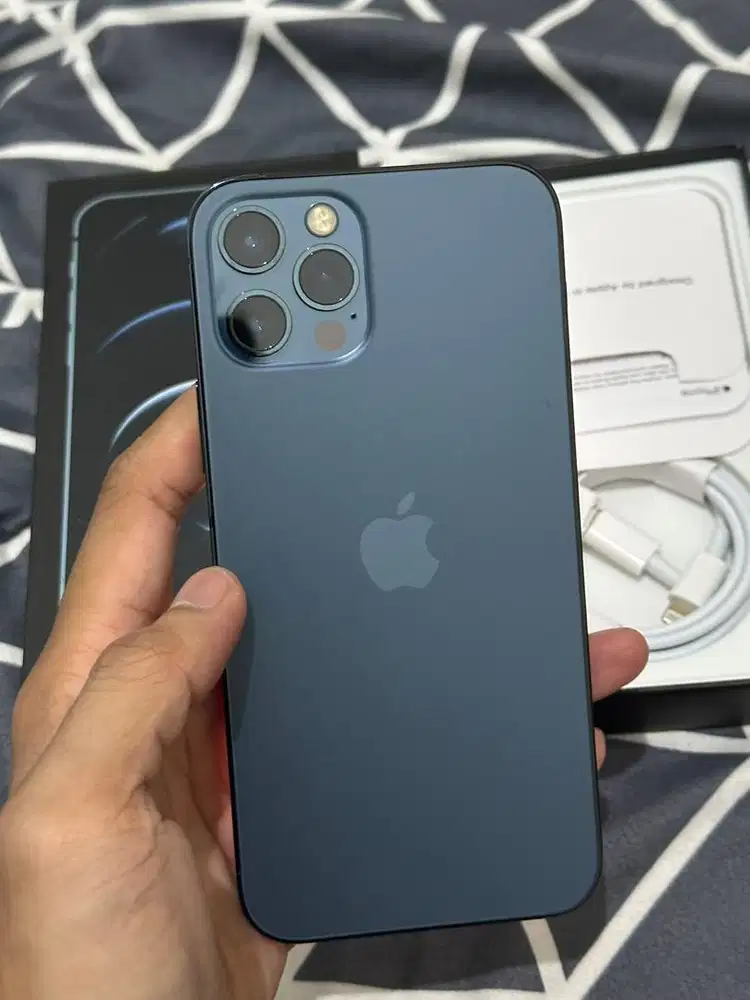 iPhone 12 Pro 256 Gb