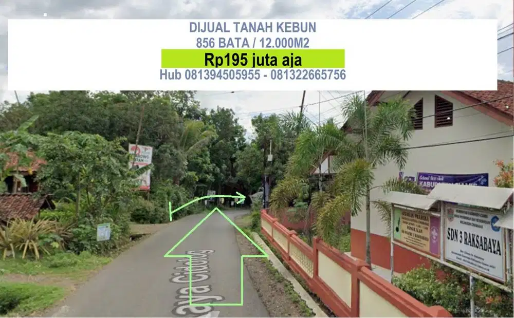 Dijual KEBUN 12.000 M (856 Bata / Tumbak) 195jt
