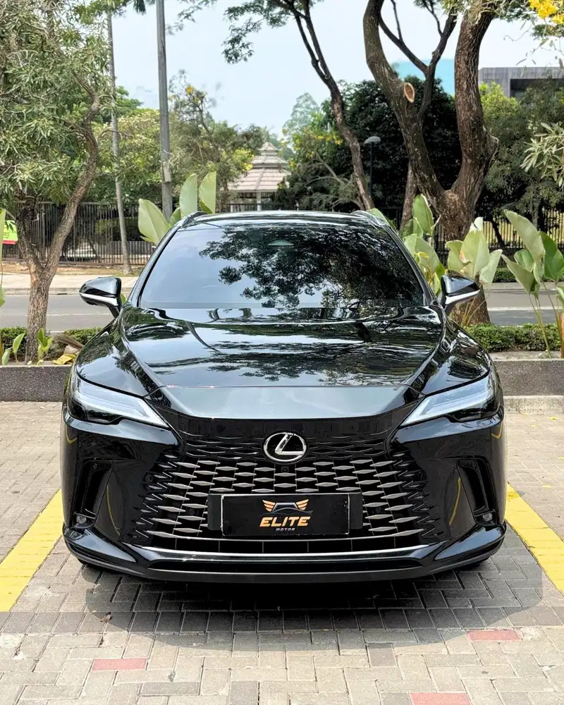 Lexus RX350 Luxury 2023 Bergaransi