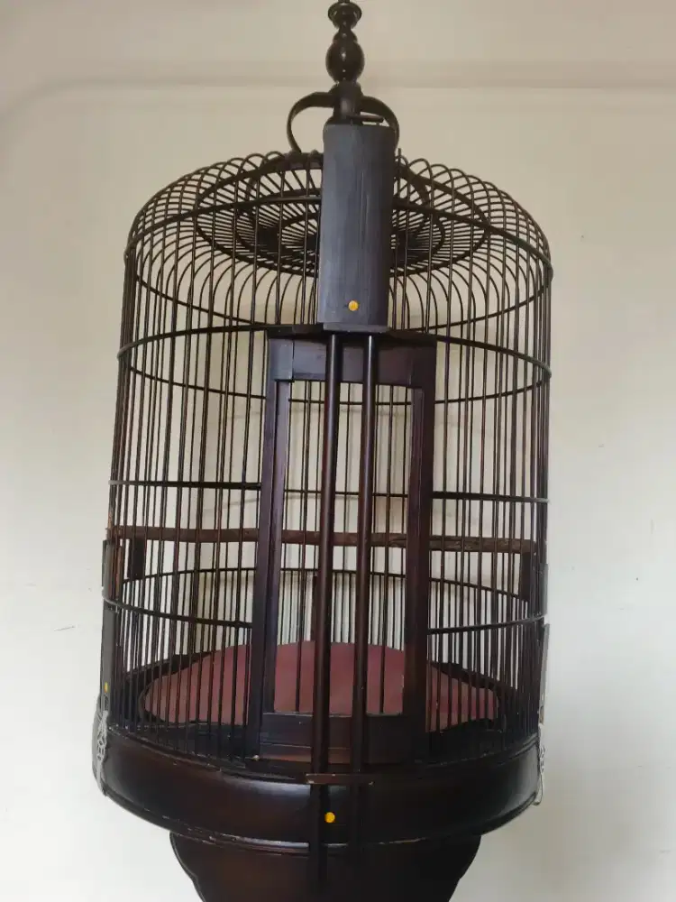 Kandang Soloan Mulus BulaT
