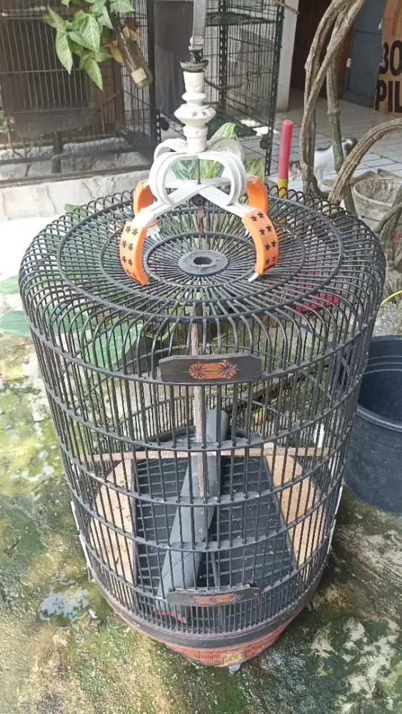 Kandang murai nomo 3