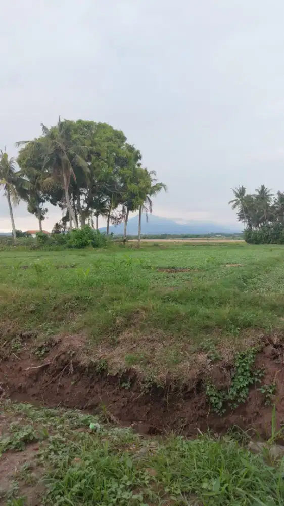 DIJUAL MURAH KAVLING 3,4 ARE DEKAT PANTAI BERABAN TABANAN - SHM