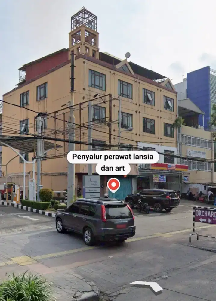 Perawat lansia dan art