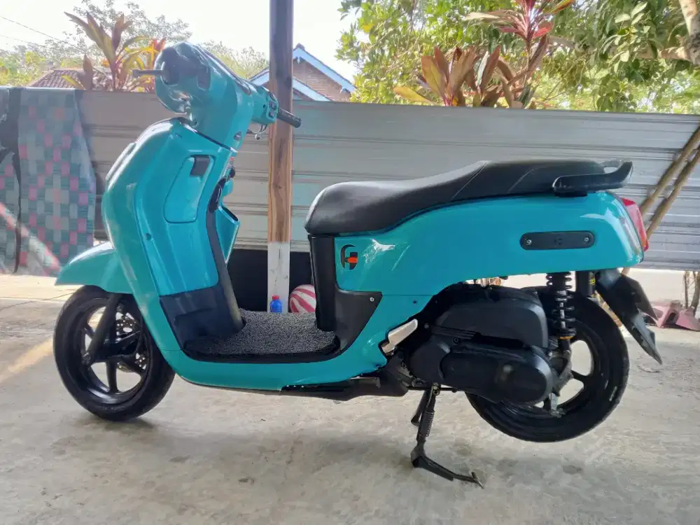 Fazzio th 2022 warna faforit
