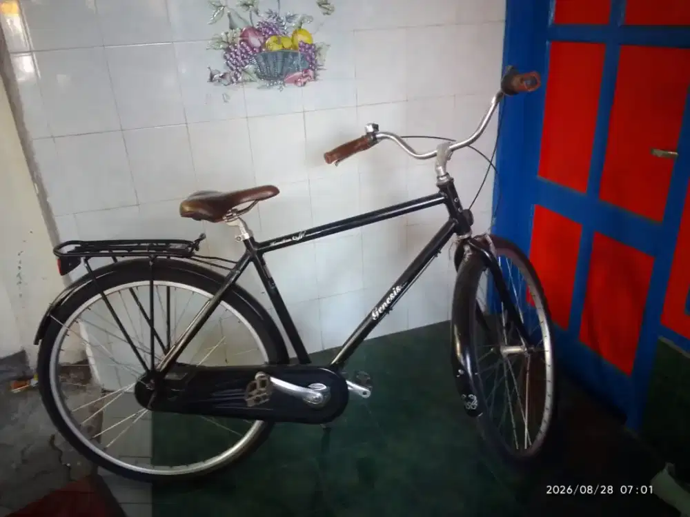JUAL SEPEDA GENESIS HAMILTON