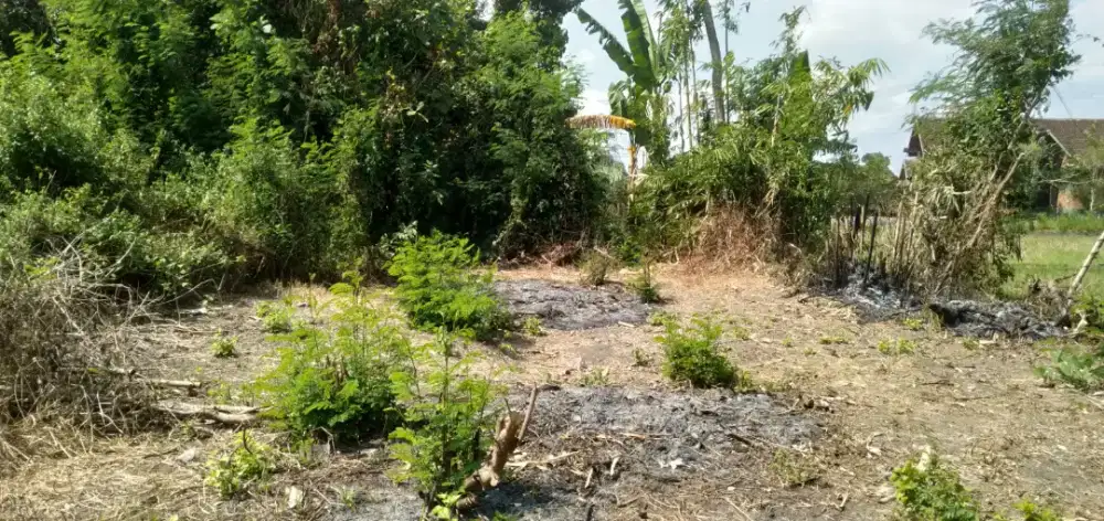 Tanah dekat kampus ISI di cepit Pendowoharjo Sewon Bantul