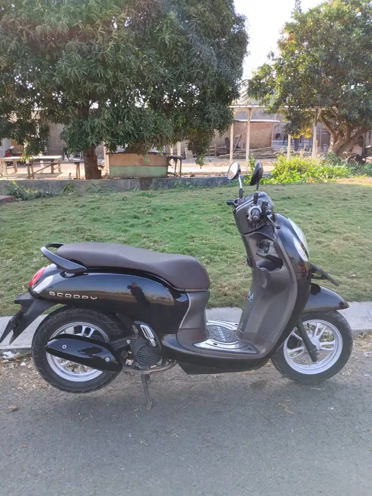 SCOOPY PRISTAGE 2022