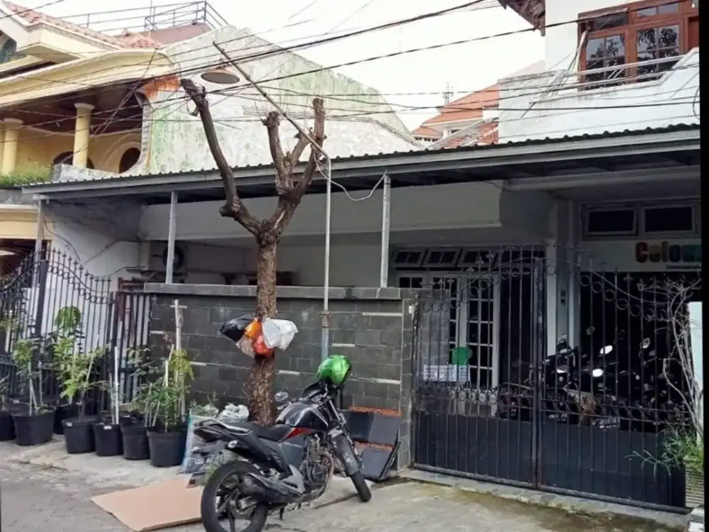 Rumah Manyar Rejo Sukolilo dekat Klampis, Araya, MERR, Dharmahusada (DND)