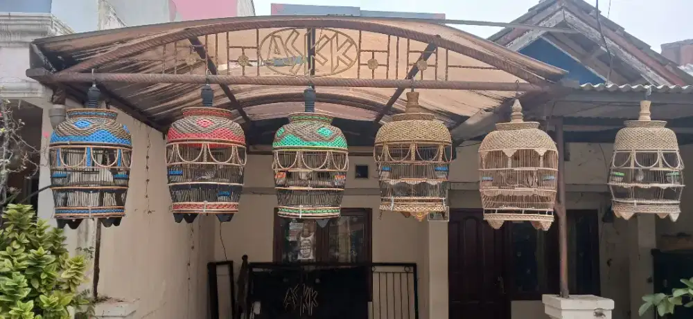 Perkutut Bangkok dan Lokal