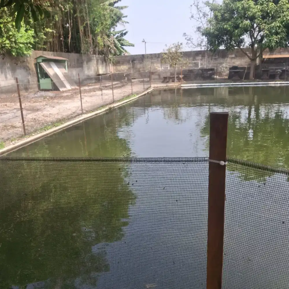 Di jual tanah di desa Wonodadi blitar Jawa timur